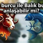 Koç burcu ile Balık burcu anlaşabilir mi? Koç ve Balık uyumu aşk