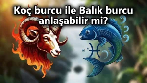 Koç burcu ile Balık burcu anlaşabilir mi? Koç ve Balık uyumu aşk