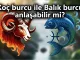 Koç burcu ile Balık burcu anlaşabilir mi? Koç ve Balık uyumu aşk